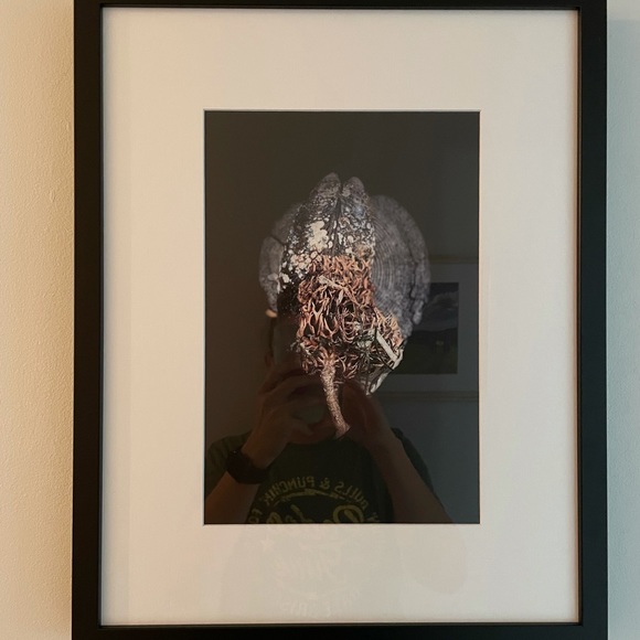 Framed and matted series of three original photographs 1/25 - Picture 2 of 3